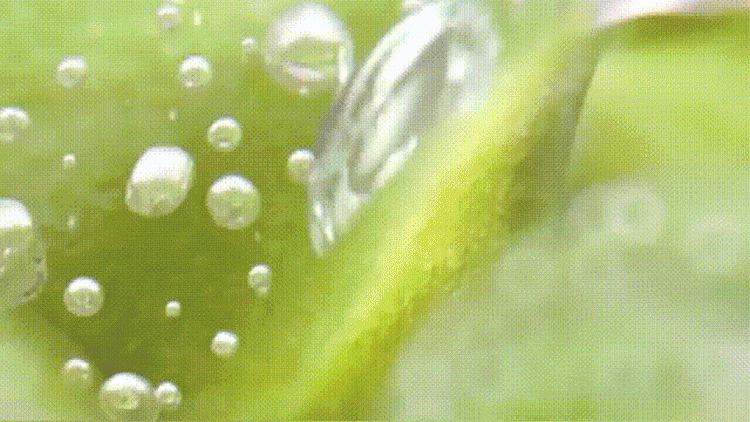 1777445414792003.gif