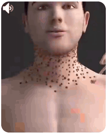 1777535881515713.gif 1777535881515713.gif